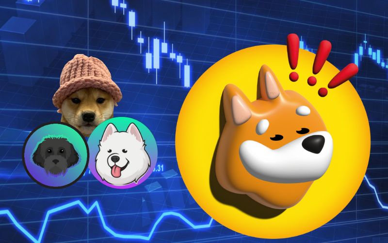 best meme coins on Solana