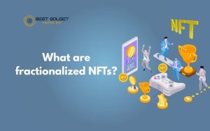 fractionalized NFTs